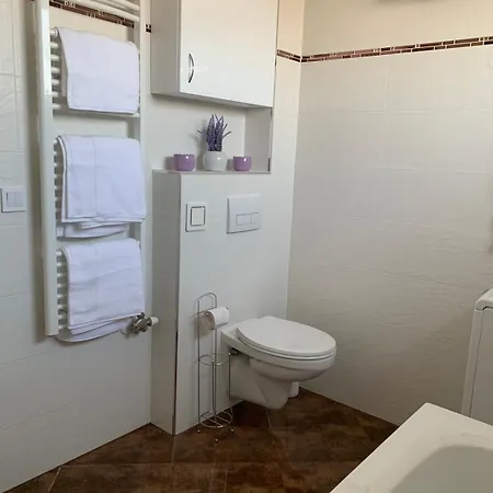 Panorama Penthouse - Gyoenyoeru Latkep A Bakonyra דירה *