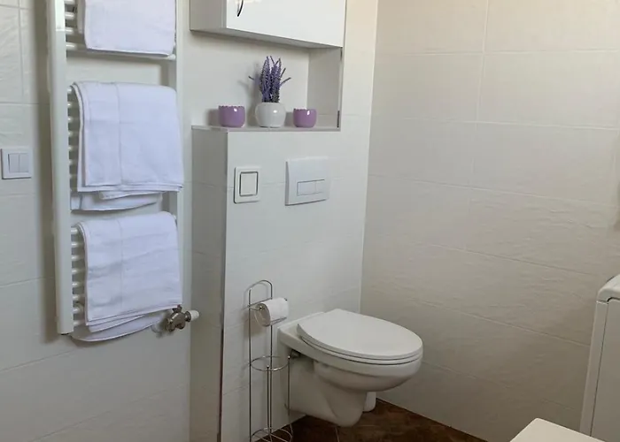 Panorama Penthouse - Gyoenyoeru Latkep A Bakonyra Daire *